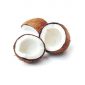 coconut flakes and coconut milk powder for ice cream