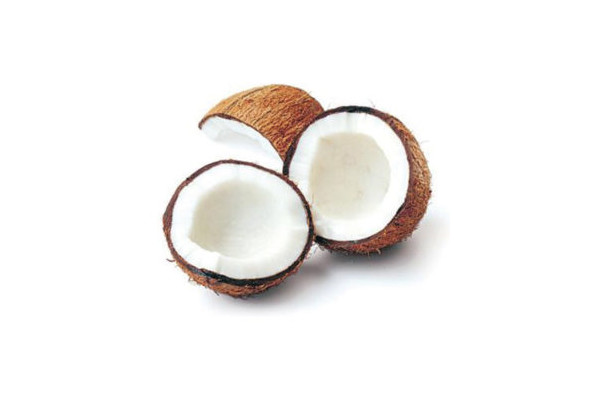 coconut flakes and coconut milk powder for ice cream
