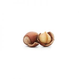 Hazelnut Tonda Gentile Trilobata φουντούκι