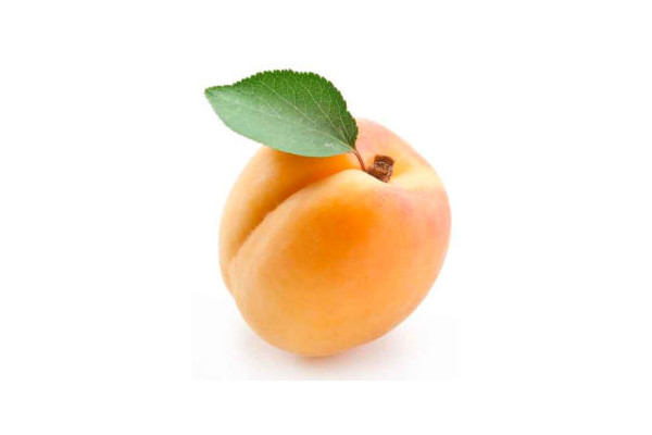 Apricot paste