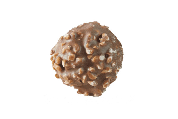 Chocolate with hazelnut grains