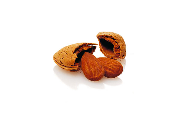 Roasted almonds paste