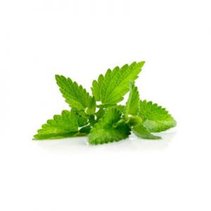 Green mint paste